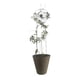 thumbnail image 2 of Soporte Planta Trepadora SoL, 2 of 3