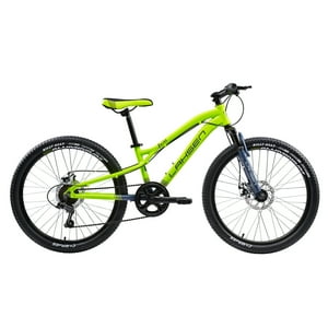 Lahsen - Bicicleta Mtb Petra Aro 24 Verde