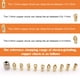 thumbnail image 1 of Juego de 13 pinzas para Dremel, repuesto Mellbree 4485, incluye 12 pinzas (0,8 mm, 1,0 mm, 1,2 mm, 1,5 mm, 1,6 mm, 1,8 mm, 2,0 mm, 2,3 mm, 2,4 mm, 3,0 mm y 3,2 mm) y una tuerca de pinza para herramien, 1 of 7