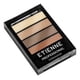 thumbnail image 1 of Sombra X4 Professional N 02 Earth, 6 g, 1 of 2