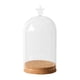 thumbnail image 2 of Vidrio Claro Campana Tapa Potera Terrario Contenedor Tapa Vaso Botella, 2 of 3