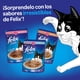 thumbnail image 4 of Alimento Húmedo Gatito Sabor Pescado Pouch, 4 of 4