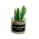 thumbnail image 3 of Mini Juguetes Para Casa De Mu?ecas Modelo De Paisaje Estático Modelado Mini Plantas Artificiales Estilo F, 3 of 5