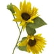 thumbnail image 2 of Flor Maravilla 52cm, 2 of 3