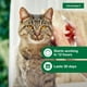 thumbnail image 5 of Tratamiento y prevención de pulgas Advantage II para gatos grandes de 9 libras o más, 5 of 8