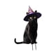 thumbnail image 4 of Estatua De Gato Para Jardín, Decoración De Halloween, Estaca De Animal Para Patio, Césped, 18,3 X 28 Cm, Con Sombrero Morado, 4 of 5