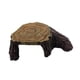 thumbnail image 2 of Plataforma Para Tomar El Sol De Tortugas Decorativas Para Escondite De Reptiles, Anfibios, 29cm X 19cm X 9cm, 2 of 5