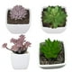 thumbnail image 3 of Mini Suculentas Artificiales + Macetero Decoracion 24 Uni., 3 of 4