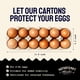 thumbnail image 5 of Egg Carton Hatortempt Bulk, paquete de 24 cestas reutilizables de 12 unidades, 5 of 9