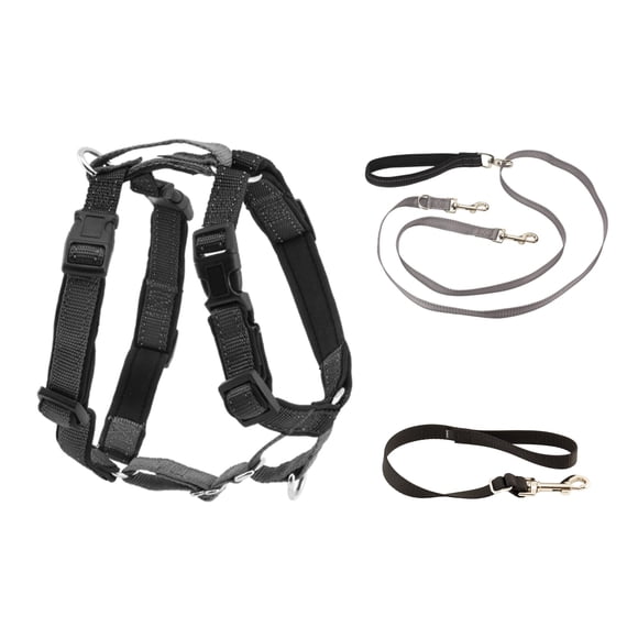Arnés PetSafe 3 en 1 con correa de control de dos puntos para perros