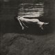 thumbnail image 1 of Álbum JACKPOT RECORDS Undercurrent, 1 of 1