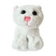 thumbnail image 5 of Peluche Slap-Buddy 20 cm Gato - Toyng, 5 of 10