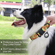 thumbnail image 5 of Collar militar para perros medianos y grandes, collares de nailon ajustables con asa, 5 of 6