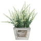 thumbnail image 1 of Lavanda Blanca En Macetero De Madera 32 Cm, 1 of 3