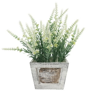 Green Element - Lavanda Blanca En Macetero De Madera 32 Cm