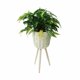thumbnail image 1 of Macetero de Rattan (M), 1 of 7