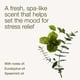 thumbnail image 3 of Recambios De Ambientador Eucalipto Y Menta, 3 of 7