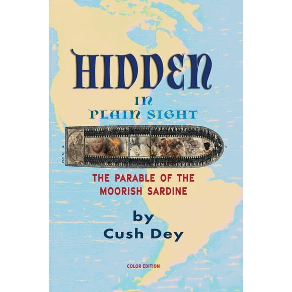 Libro Hidden In Plain Sight De