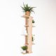 thumbnail image 5 of Repisa Para Plantas Molly Rovere, 5 of 11