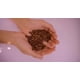 thumbnail image 3 of 🇨🇷 COSTA RICA | Colibrí (molienda media-fina 250 g), 3 of 3