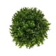 thumbnail image 2 of Planta Artificial Boj Japonico 12*12cm, 2 of 2