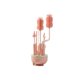 thumbnail image 1 of Set Cepillos Silicona para Mamaderas con Escurridor Rosado, 1 of 6
