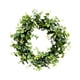 thumbnail image 1 of Guirnalda De Hojas Verdes Colgante Floral Romántico Para Puertas Delanteras Tienda Ventanas Estilo D, 1 of 4