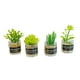 thumbnail image 4 of 4 Uds Escala 1:12 Casa De Muñecas Plantas En Miniatura Modelo Pequeño Bonsái Para Casa De Muñecas Estilo B, 4 of 5