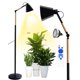 thumbnail image 1 of Lámpara de Cultivo LED de Espectro Completo Arikashin con Temporizador, 1 of 8
