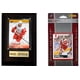 thumbnail image 1 of Paquete para aficionados C&I Collectables NHL Detroit Red Wings con placa, 1 of 1