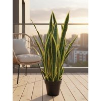Arbusto Real - Planta Artificial Lengua De Suegra Sansevieria 60 Cm/18 Hjs