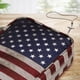 thumbnail image 5 of Funda de transporte para Biblia FINPAC, bolsa de iglesia con asa, bandera de EE. UU., 5 of 7