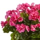 thumbnail image 2 of Planta artificial de geranio casi natural con maceta rectangular, 2 of 3