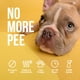 thumbnail image 2 of Orina antigatos y perros en aerosol Petdly, 500 ml, no deja marcas, 2 of 7