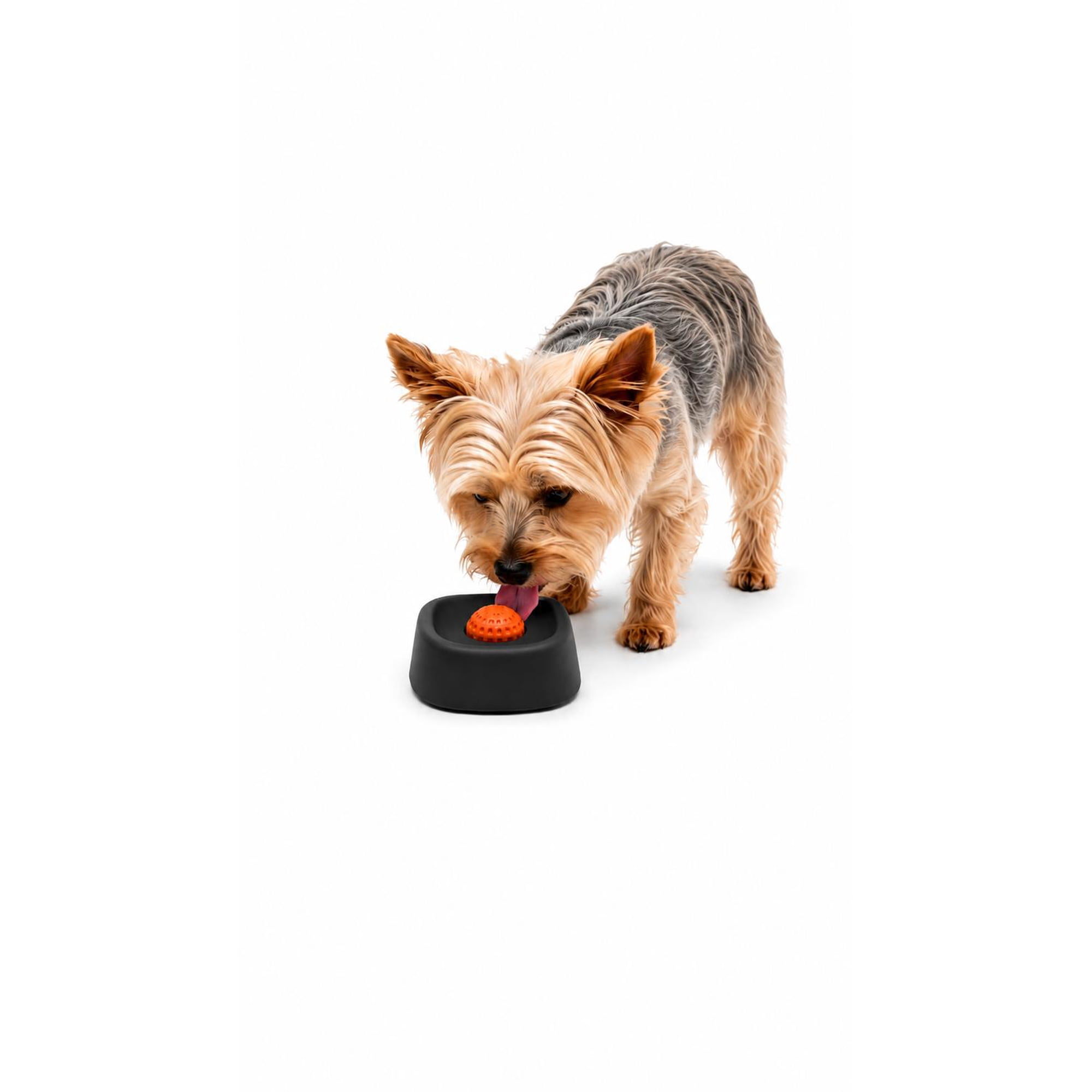 Dispensador Alimento Perros Plato Anti Ansiedad Mascota