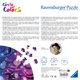 thumbnail image 5 of Rompecabezas Ravensburger Circle of Colors Astrology, 500 piezas, 5 of 5