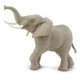 thumbnail image 4 of Figura de elefante africano Safari Ltd., plástico, 20 cm, más de 3 años, 4 of 6