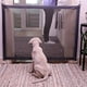 thumbnail image 4 of 1PC Pet Dog Gate Network Fence Stairs Folding Breathable Mesh Enclosure Dog Fence Child Safety Barrier Pet Playpen Articles, 4 of 4