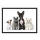 thumbnail image 1 of Cuadro Perros y Gatos con Marco Negro, 1 of 1
