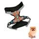 thumbnail image 1 of Arnes Pechera Perro Mascota Resistente Comodo Reflectante Talla L Naranjo, 1 of 4