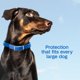 thumbnail image 4 of Collar antipulgas y garrapatas ADAMS 7 meses (1 unidad), 4 of 9