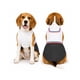 thumbnail image 1 of Traje De Huaso Chileno Para Perro Talla L, 1 of 10