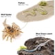 thumbnail image 3 of Set de Figuras de Animales Reptiles y Anfibios 14 Piezas, 3 of 3