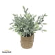 thumbnail image 1 of Salvia Planta Artificial con Macetero Decoración SunnyYard, 1 of 5