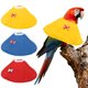thumbnail image 1 of Collares para Aves Uxcell, Conos de Recuperación Protectores para Aves, Protector de Cuello Suave Ajustable Anti-Mordeduras (Amarillo/Azul/Rojo, XL, 3 Piezas), 1 of 7
