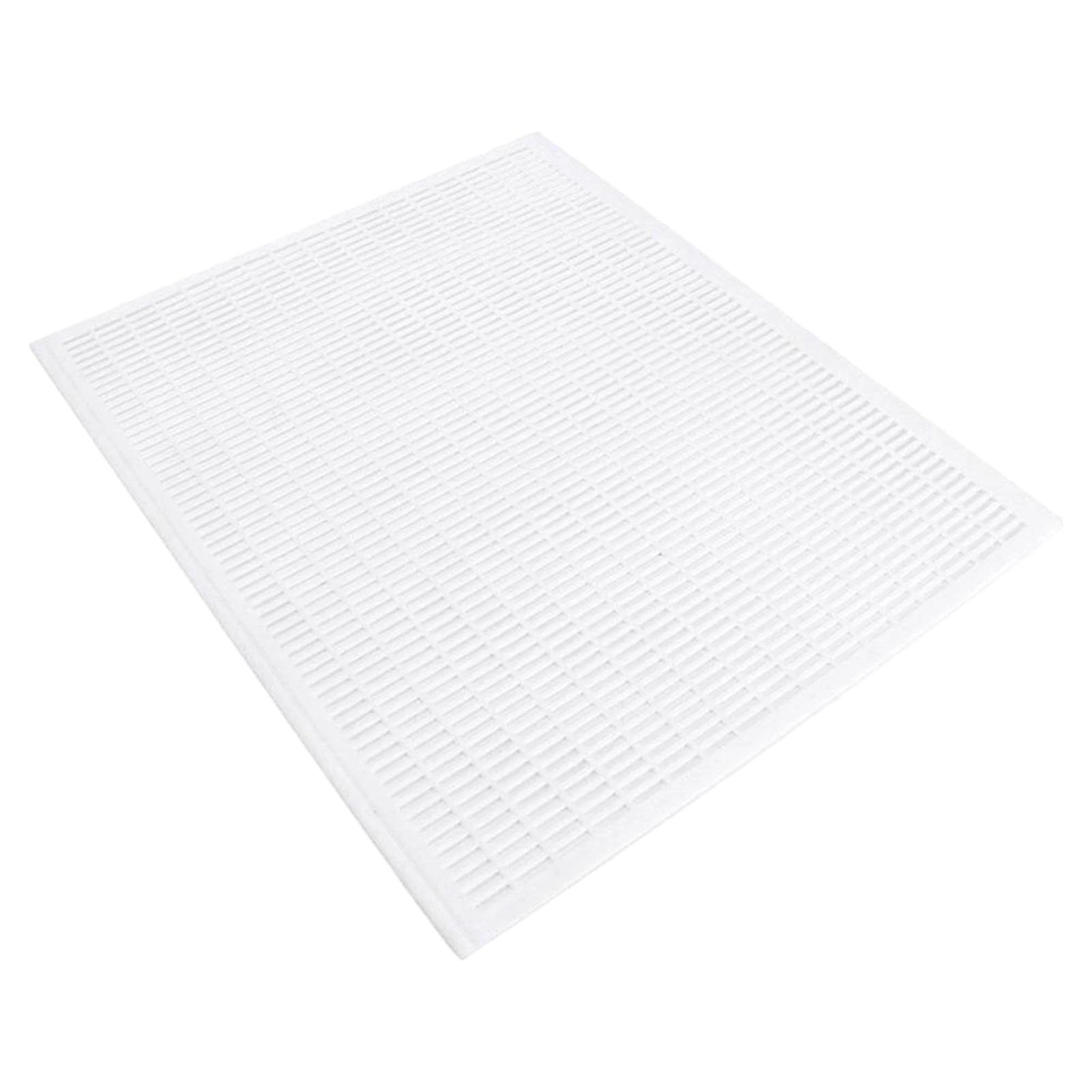 Ioensy - Práctico Excluidor De Abejas Reina De 10 Marcos, Fácil De Limpiar, Accesorios Para El Patio Trasero, Color Blanco