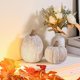 thumbnail image 5 of Decoración de Calabaza AOMOONOA de Resina Marrón y Blanca 11x10 cm, 5 of 9