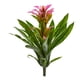 thumbnail image 1 of Bromelia artificial casi natural de 38 cm, juego de 4, 1 of 2