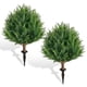 thumbnail image 1 of Set de 2 Árboles Artificiales de Ciprés en Forma de Bola XUXDUHY 58 cm Resistente a Rayos UV, 1 of 9