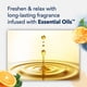 thumbnail image 5 of Ambientador Plugins Coastal Sunshine Citrus 20 Ml, 5 of 7